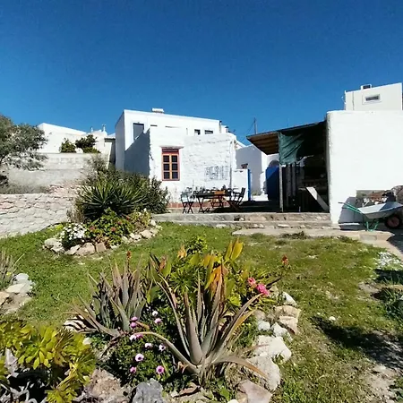 Clive And Bifi's House Lachania