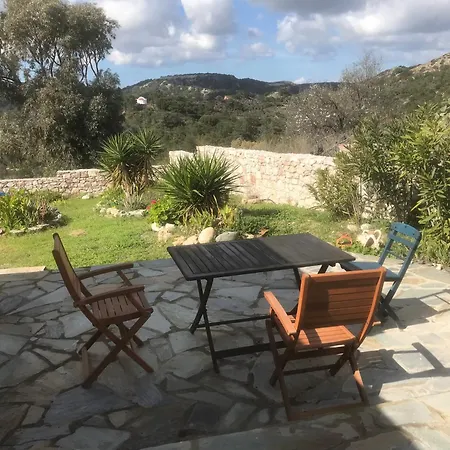 Clive And Bifi's House * Lachania (Rhodes)