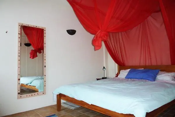 Clive And Bifi's House *