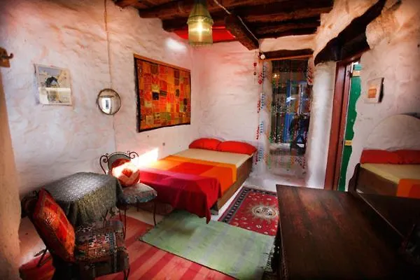 Clive And Bifi's House