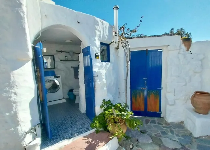 Clive And Bifi's House