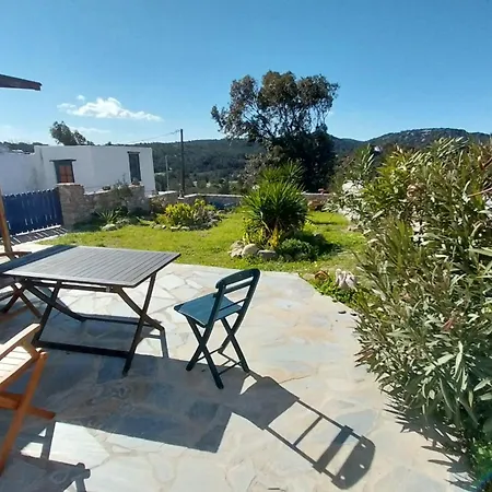 Clive And Bifi's House *