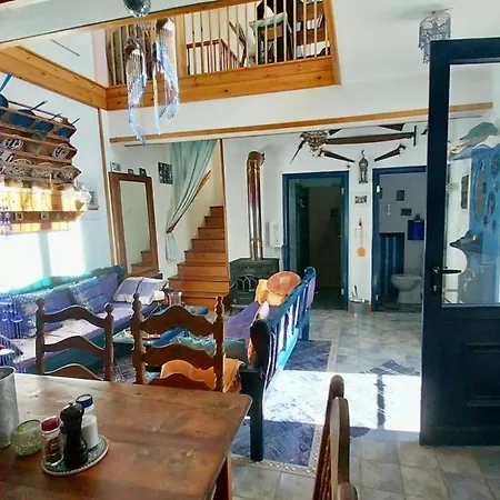 Clive And Bifi's House Semesterbostad *